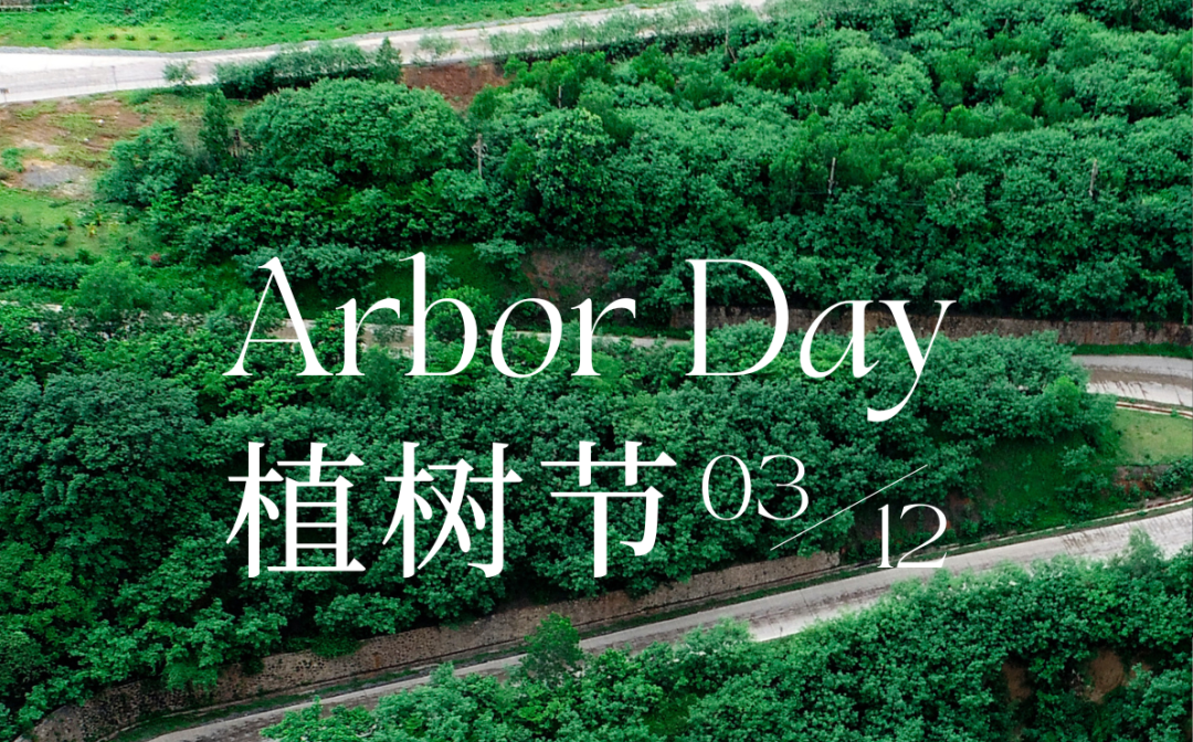 植树节 | 海南矿业的绿色画卷