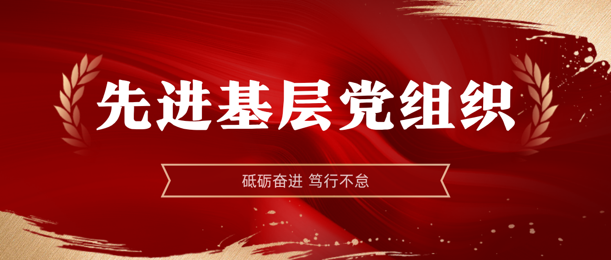 弘扬榜样精神 | 海南矿业2024-2025年度先进基层党组织