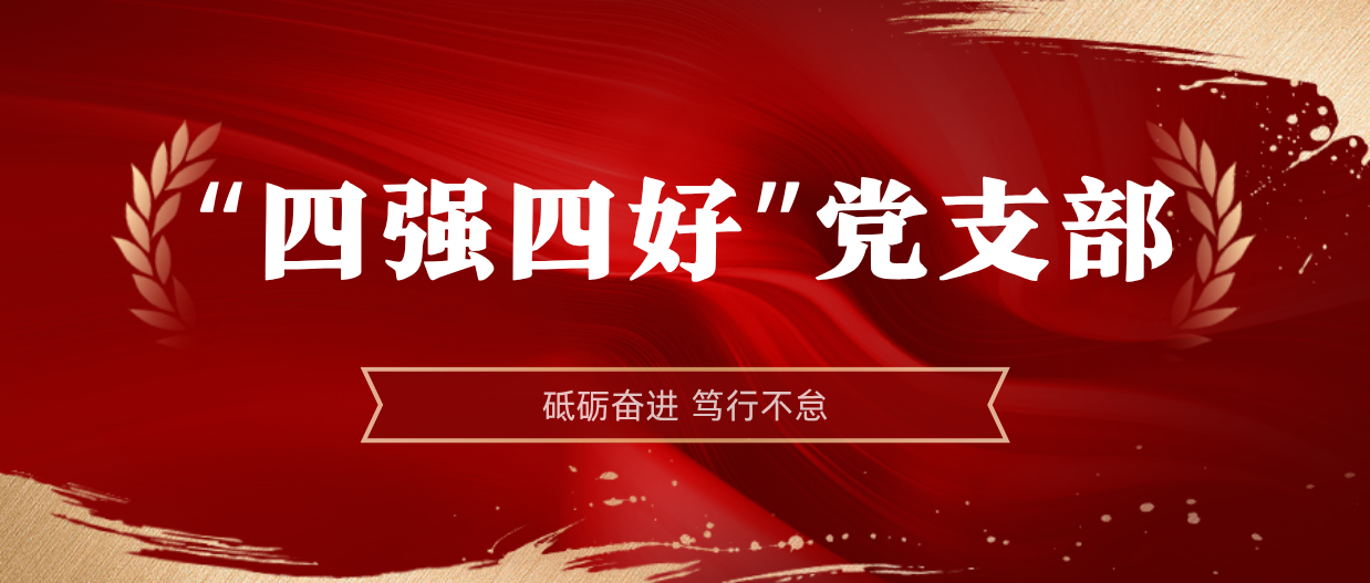 弘扬榜样精神 | 海南矿业2024-2025年度“四强四好”党支部